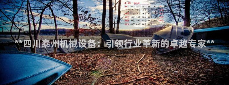 金年会体育jinnianvip：**四川泰州机械设备：引领行业革新的卓越专家**