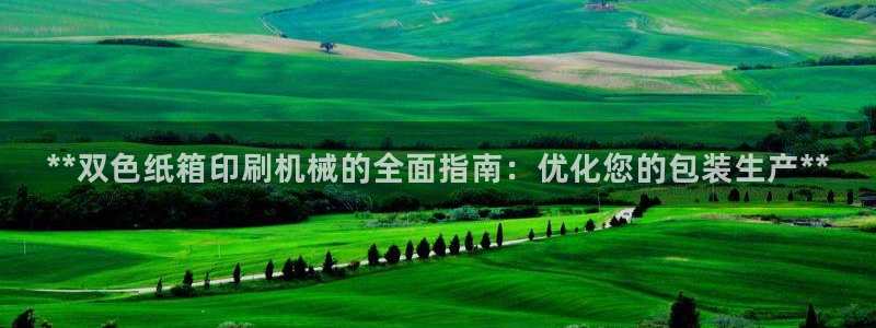金年会网站登录：**双色纸箱印刷机械的全面指南：优化您的包装生产**