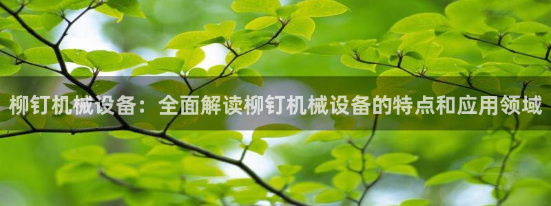 金年会vip打开网络异常怎么办：柳钉机械设备：全面解读柳钉机械设备的特点和应用领域