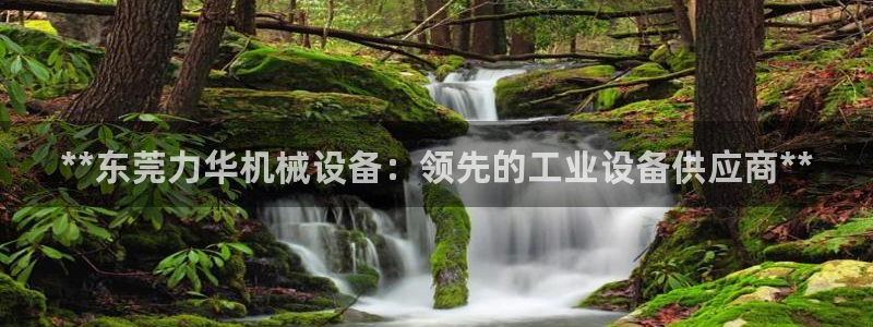 金年会网赌靠普吗：**东莞力华机械设备：领先的工业设备供应商**