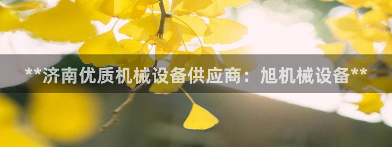 金年会官方入口网站下载：**济南优质机械设备供应商：旭机械设备**