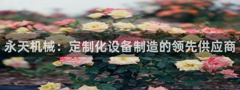 金年会平台真他妈坑人：永天机械：定制化设备制造的领先供应商