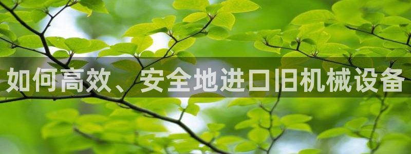 金年会官方网站登录：如何高效、安全地进口旧机械设备
