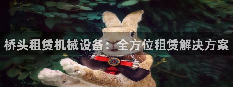 金年会官方app下载：桥头租赁机械设备：全方位租赁解决方案