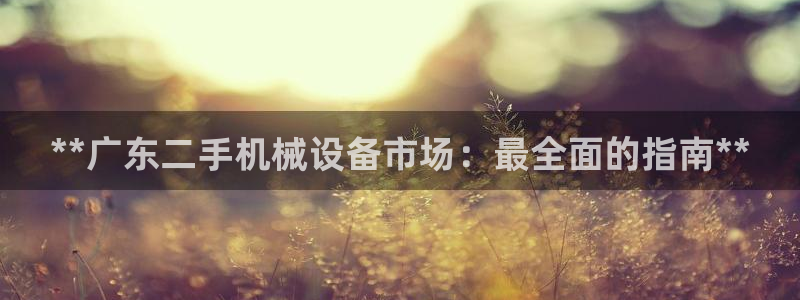 金年会体育好不好：**广东二手机械设备市场：最全面的指南**