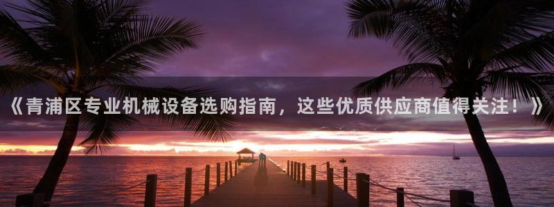 金年会vip888：《青浦区专业机械设备选购指南，这些优质供应商值得关注！》