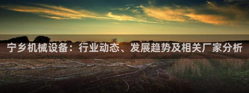 金年会体育一直输：宁乡机械设备：行业动态、发展趋势及相关厂家分析