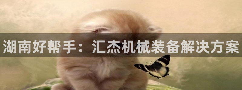 金年会app官网免费下载：湖南好帮手：汇杰机械装备解决方案
