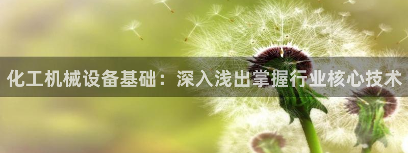 金年会官方在线入口网址查询：化工机械设备基础：深入浅出掌握行业核心技术