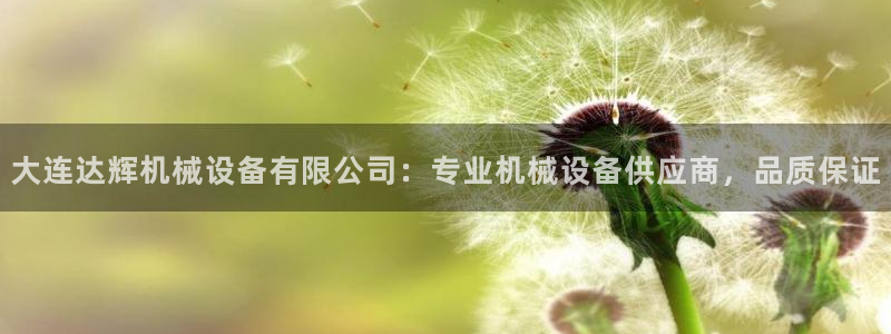 金年会体育app下载官网苹果版：大连达辉机械设备有限公司：专业机械设备供应商，品质保证