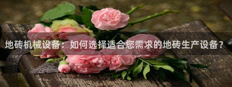 金年会官方在线入口网址是多少号：地砖机械设备：如何选择适合您需求的地砖生产设备？