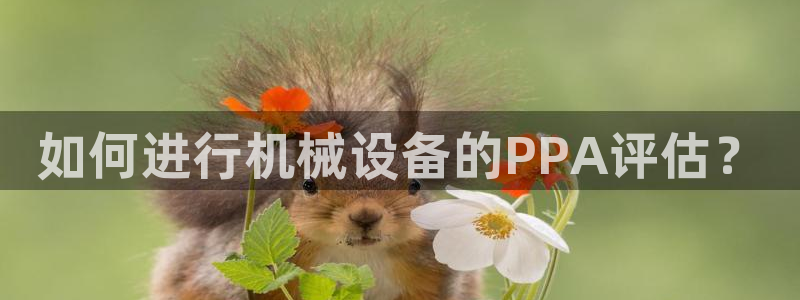 金年会官方网站入口：如何进行机械设备的PPA评估？