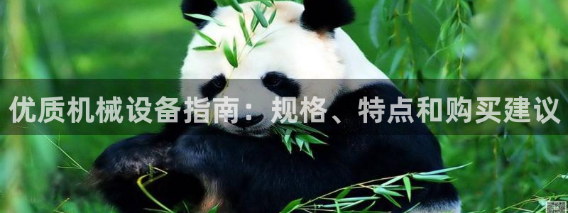金年会官网中国：优质机械设备指南：规格、特点和购买建议