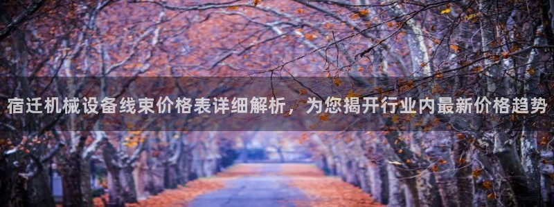 金年会网站稳不稳：宿迁机械设备线束价格表详细解析，为您揭开行业内最新价格趋势