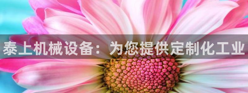 金年会平台是黑网还是